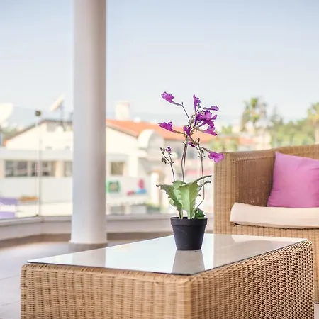 Napian 3* Ayia Napa